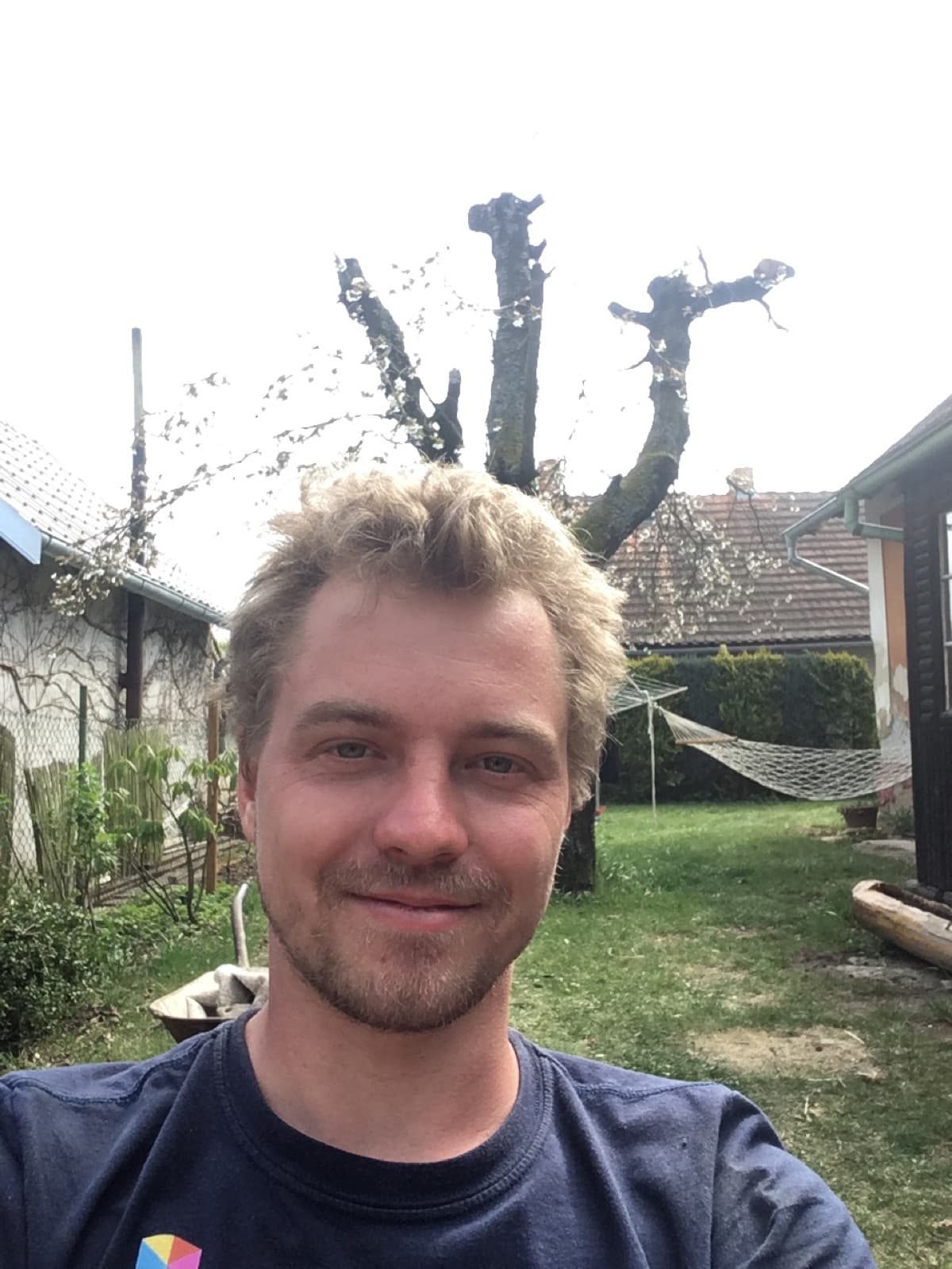 Why We Built Plantory — And What It Taught Us About AI