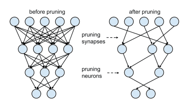 Prořezávání modelu (neuronů i synapsí)