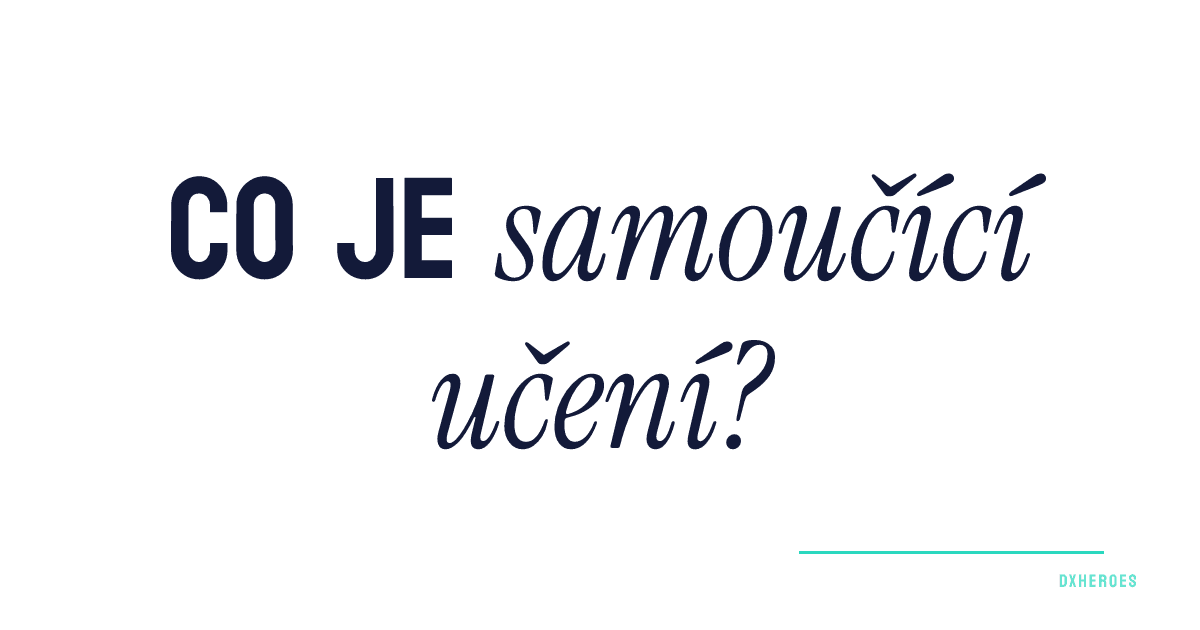 Co je samoučící učení?