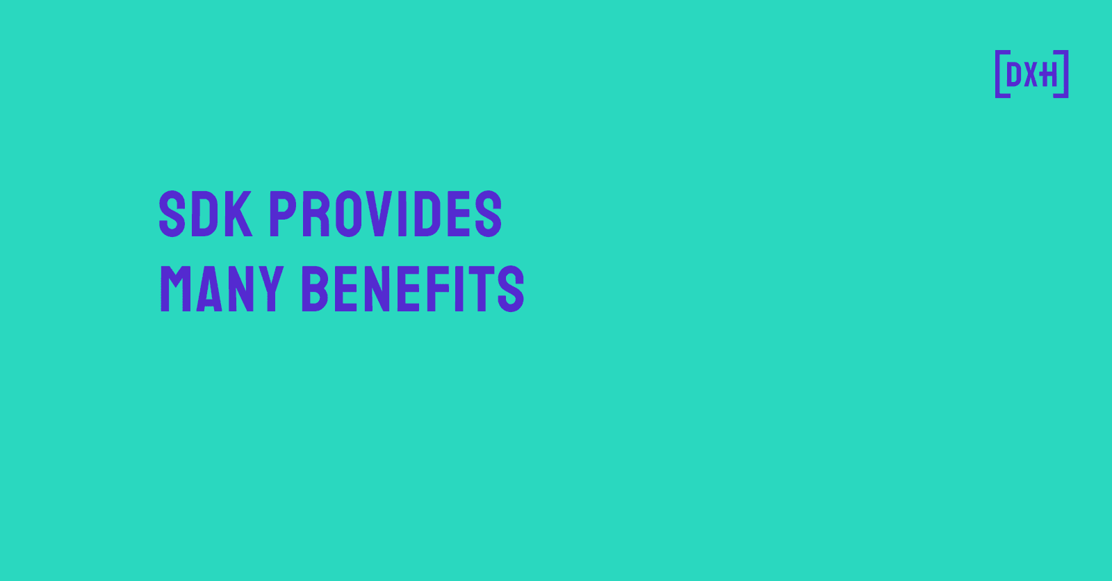 Article Image - SDK Provides Many Benefits